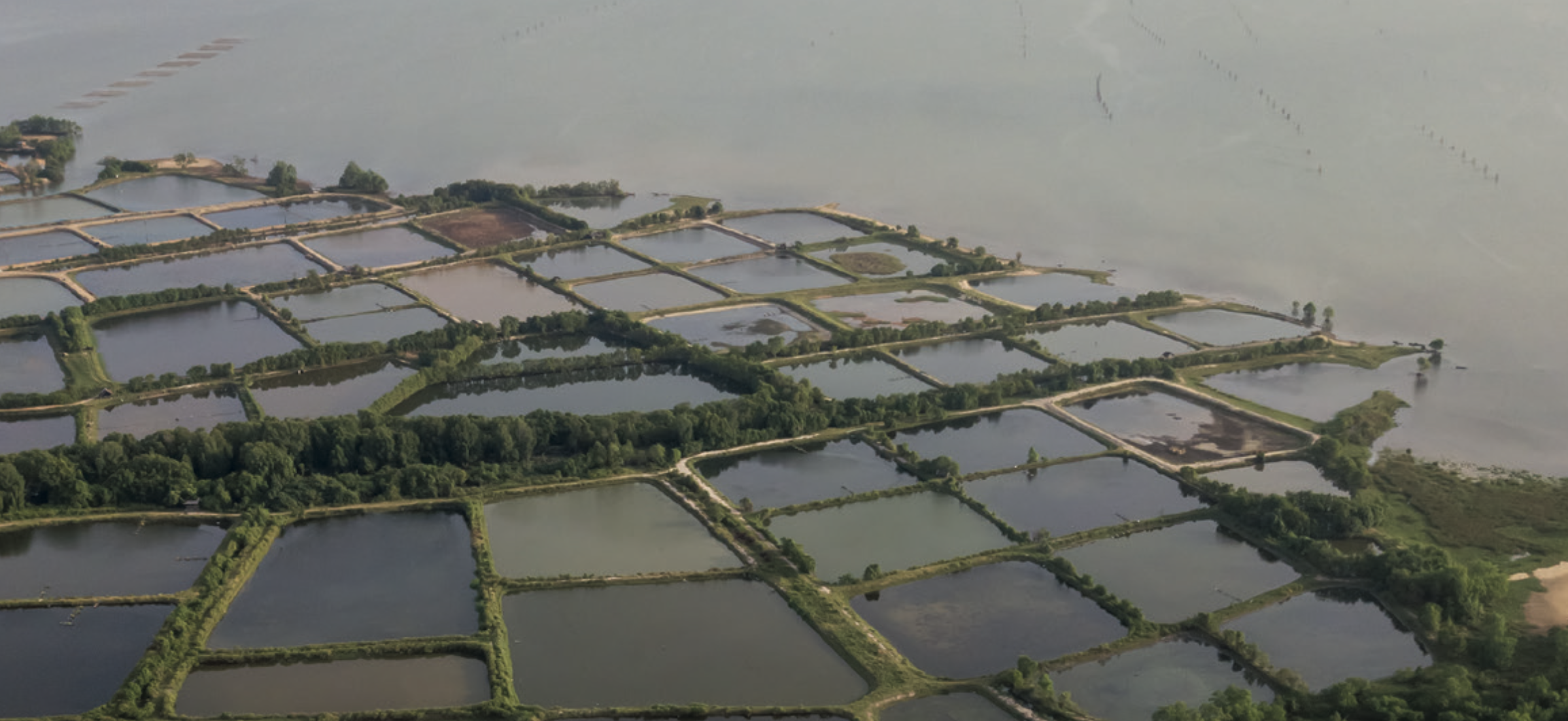 AQUACULTURE MAGAZINE